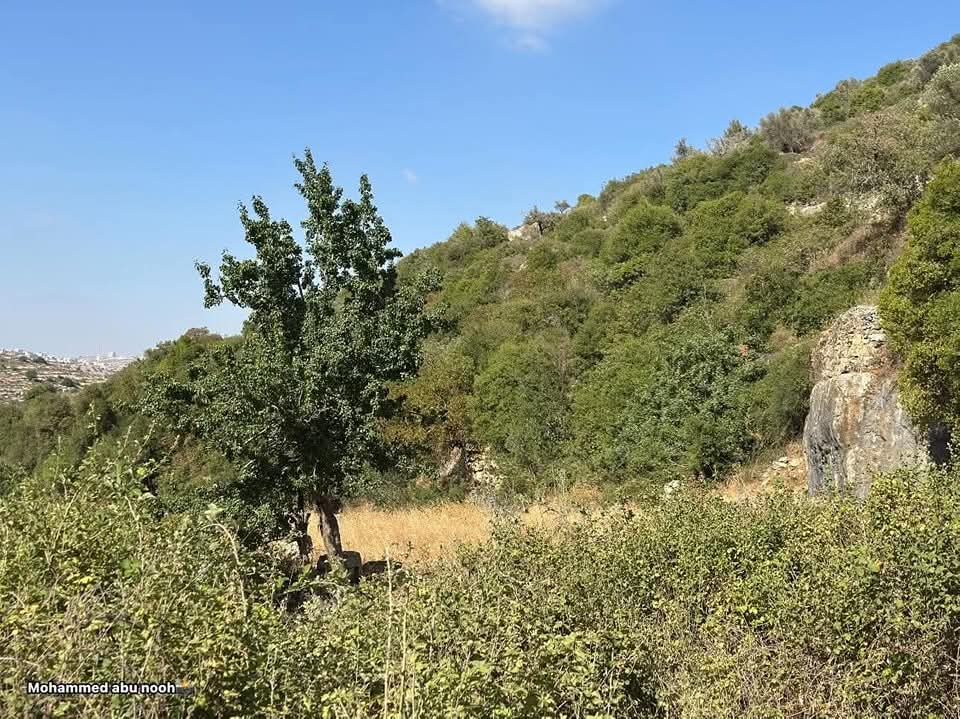 رام الله | موسوعة القرى الفلسطينية